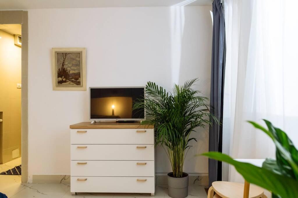 Studio With Private Terrace Next To Cismigiu Bukurešť Exteriér fotografie
