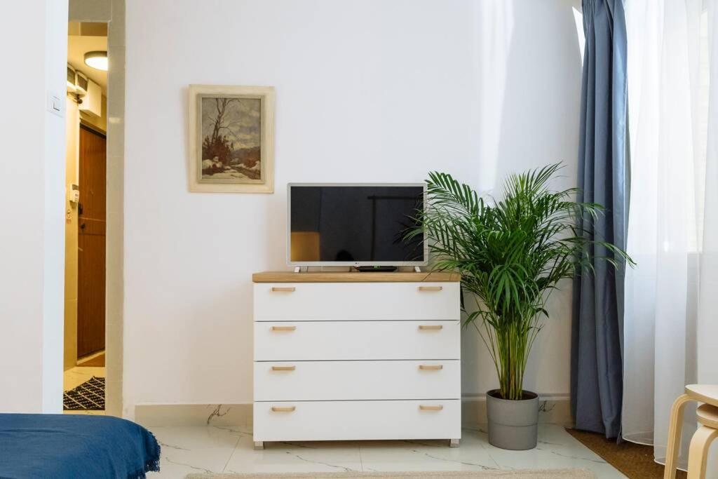 Studio With Private Terrace Next To Cismigiu Bukurešť Exteriér fotografie